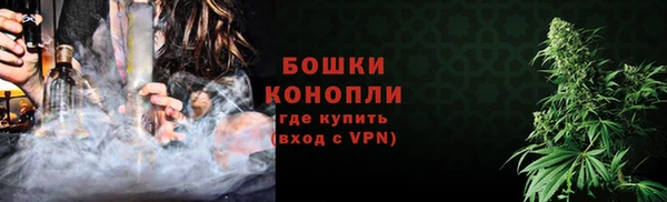 дмт Белокуриха