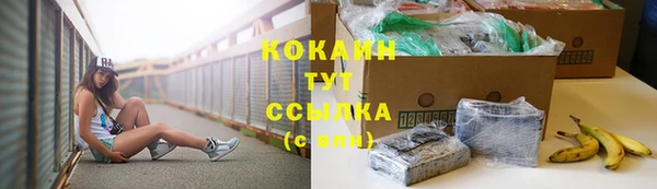 прущие грибы Семёнов